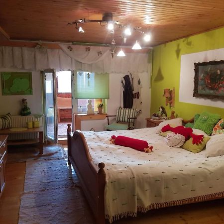 Littel Green Old Home シギショアラ エクステリア 写真