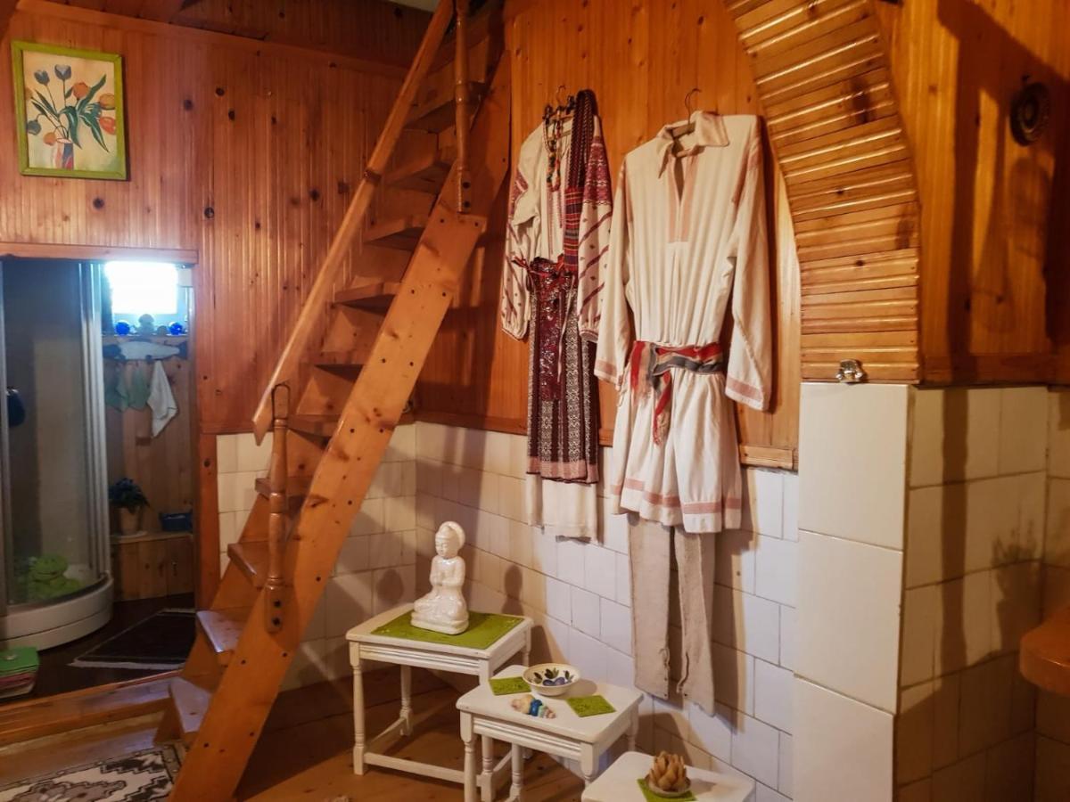 Littel Green Old Home シギショアラ エクステリア 写真