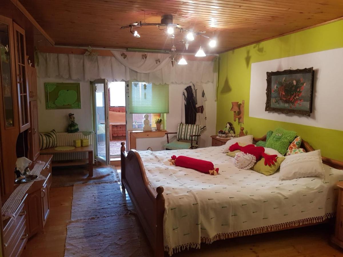 Littel Green Old Home シギショアラ エクステリア 写真