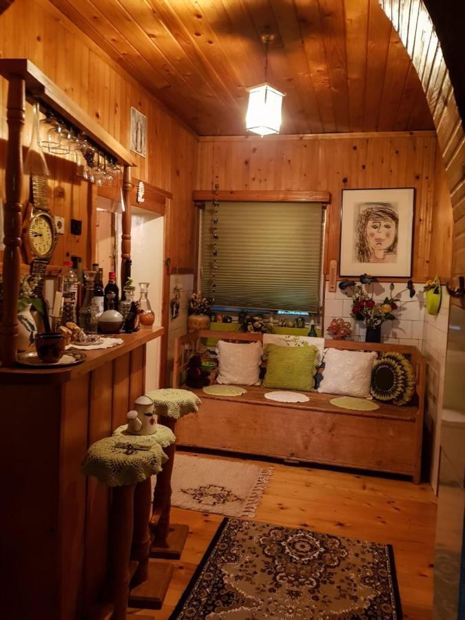 Littel Green Old Home シギショアラ エクステリア 写真