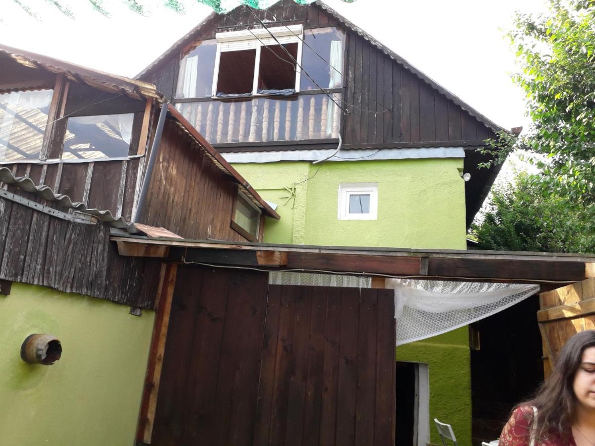 Littel Green Old Home シギショアラ エクステリア 写真