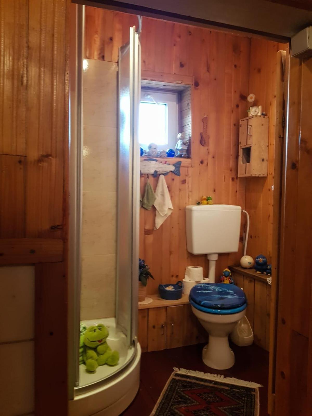 Littel Green Old Home シギショアラ エクステリア 写真
