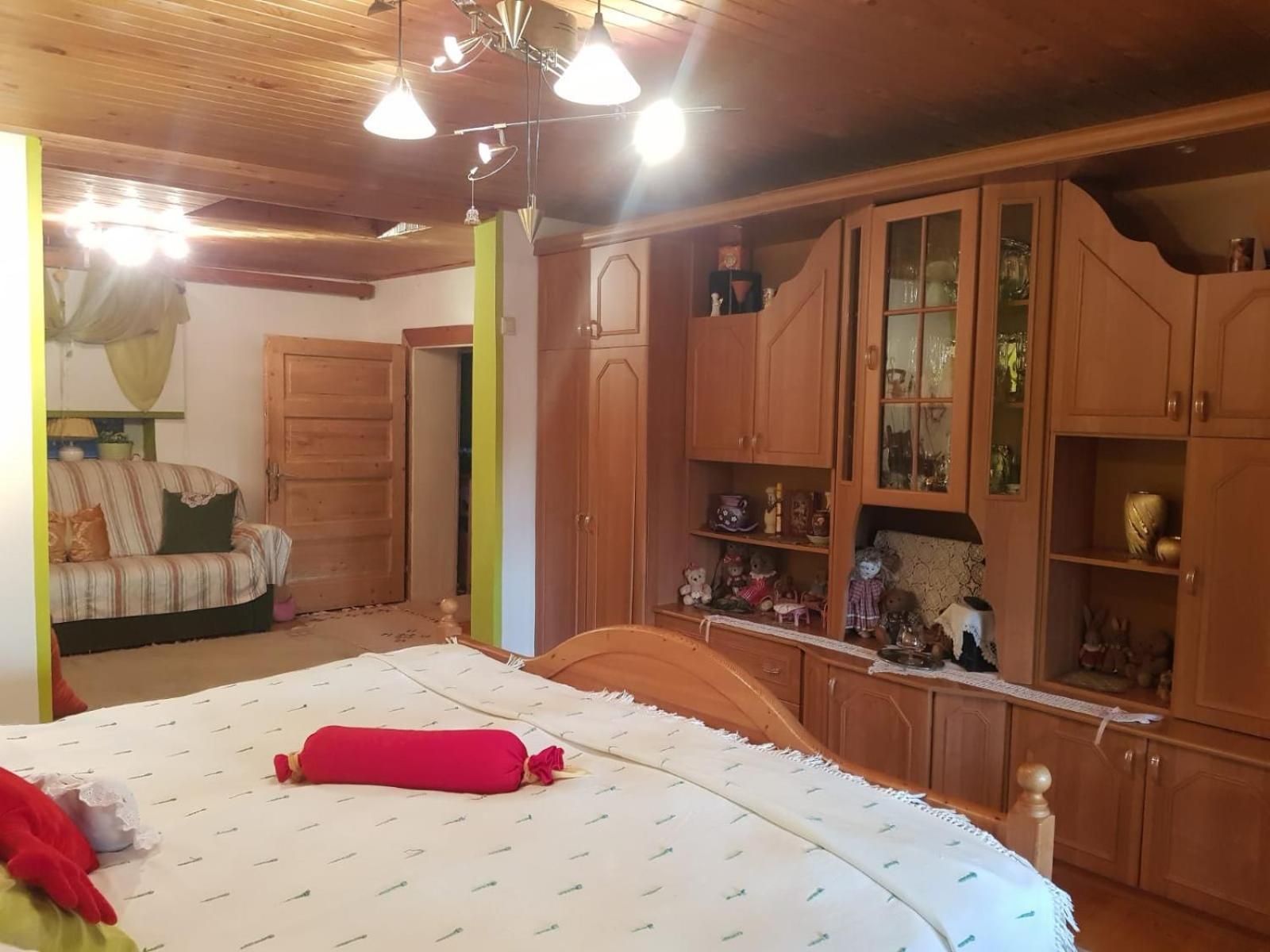 Littel Green Old Home シギショアラ エクステリア 写真