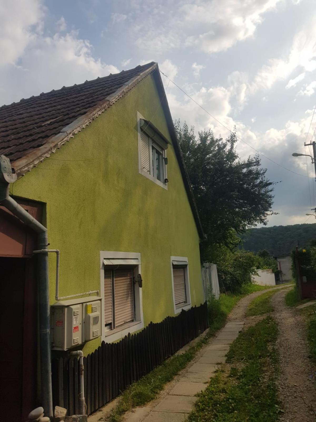 Littel Green Old Home シギショアラ エクステリア 写真