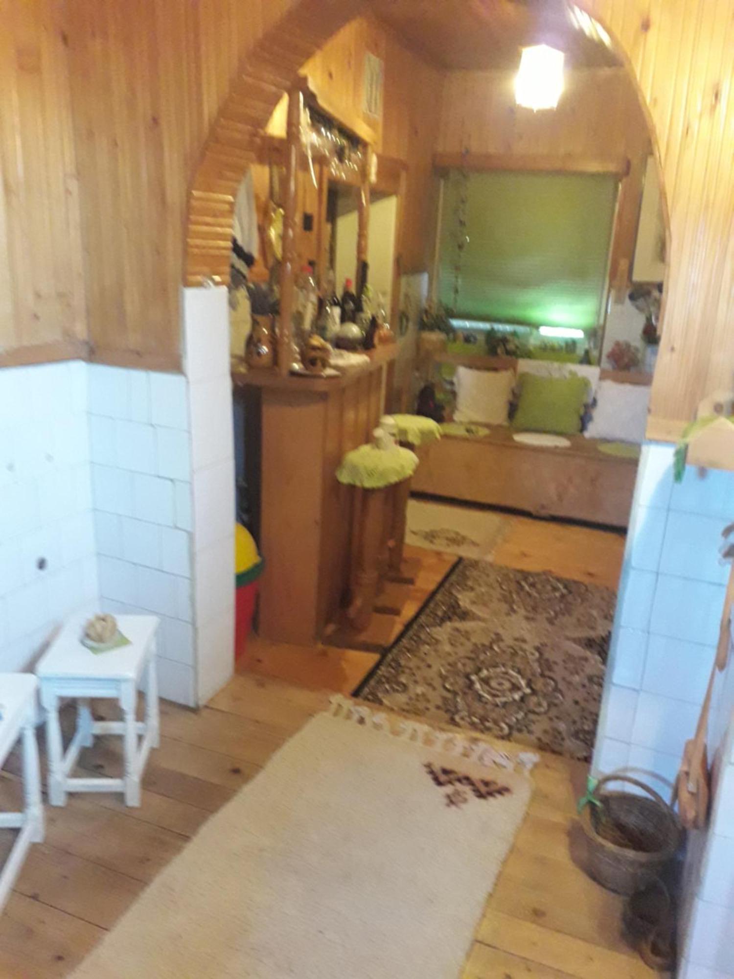 Littel Green Old Home シギショアラ エクステリア 写真